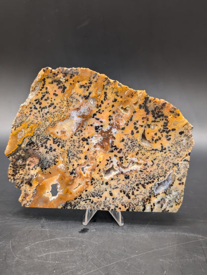 Cheetah Agate (Unpolished)