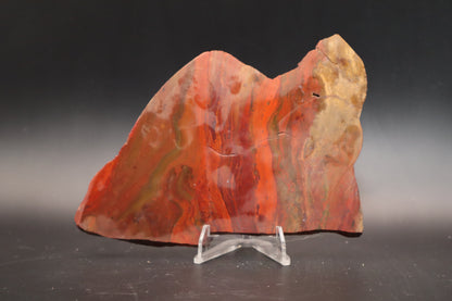 Arizona Moss Agate (Unpolished)