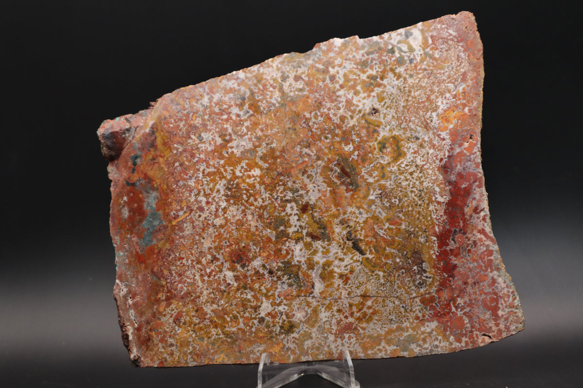 Moroccan Atlas Mountain Jasper slab (Unpolished)