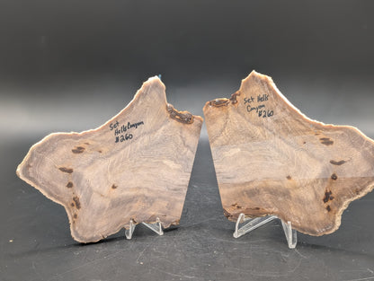 Hells Canyon Petrified Wood set(Unpolished)