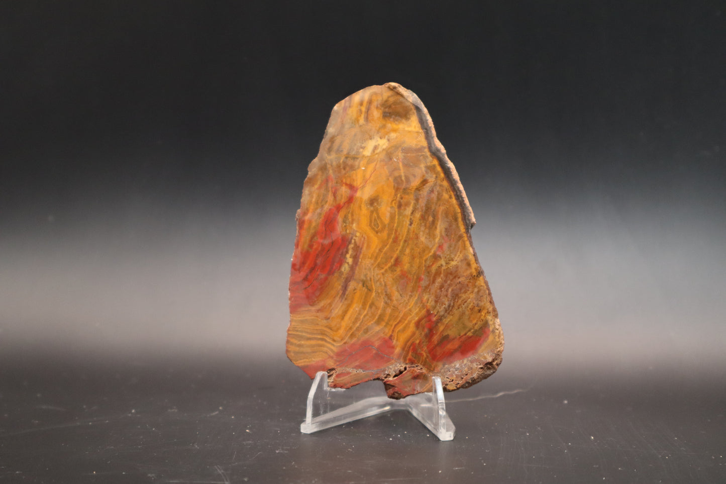 Arizona Moss Agate (Unpolished)