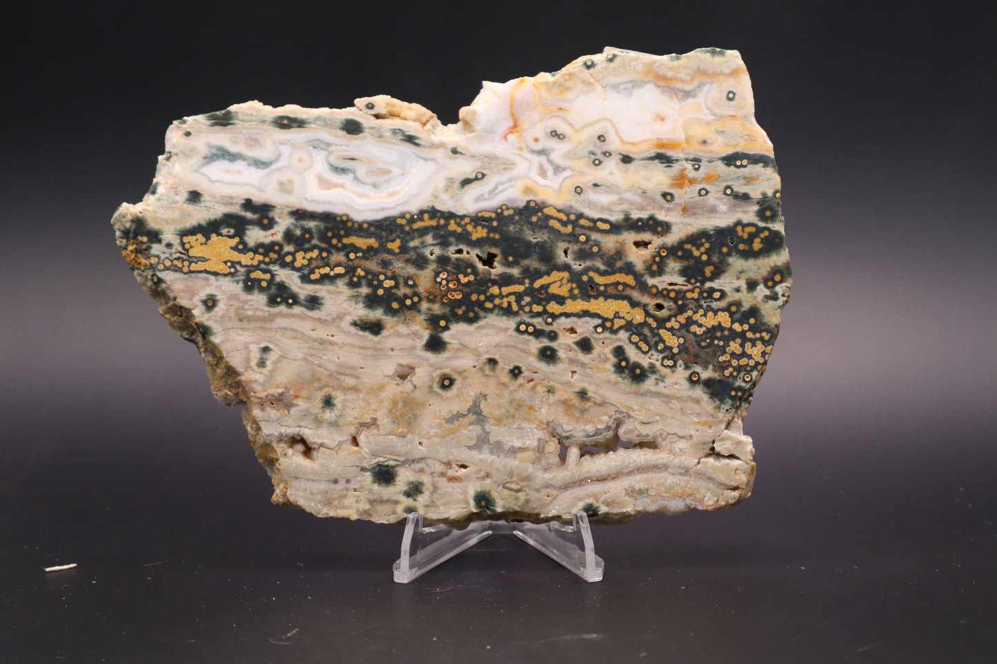 Ocean Jasper Slab (Unpolished)