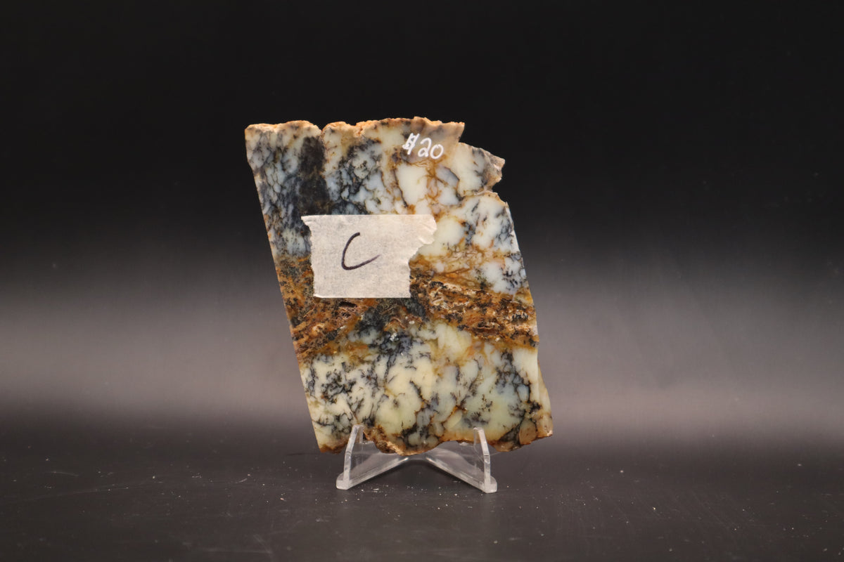 Australian Dendritic Opal slab (Unpolished)