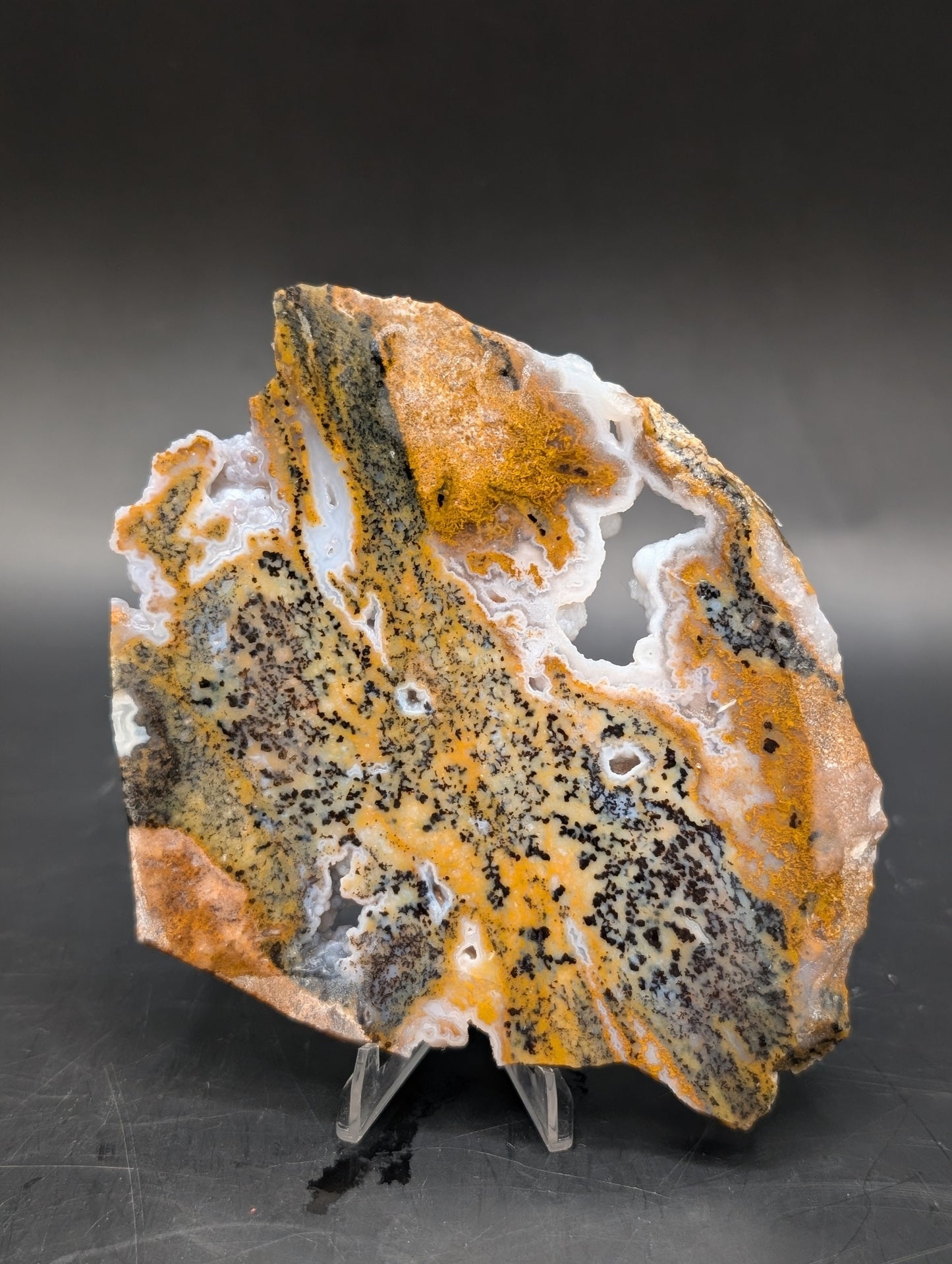 Cheetah Agate (Unpolished)