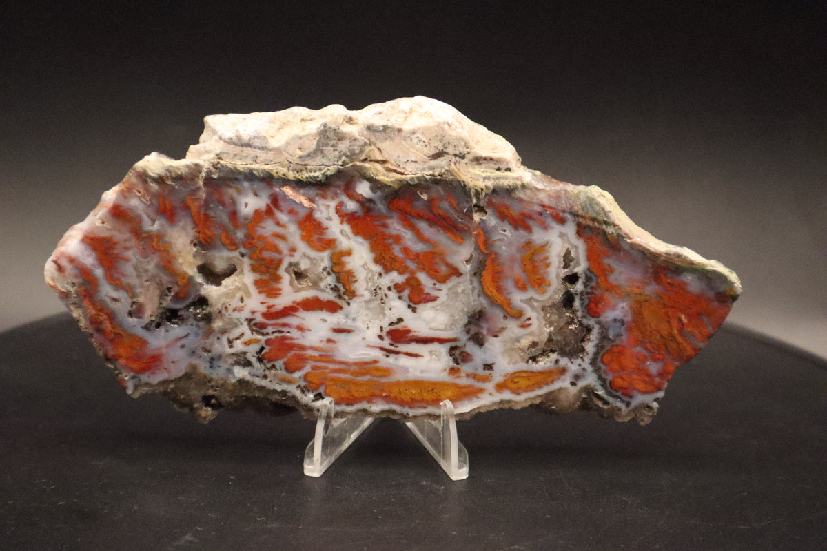 Wingate Pass Plume Agate slab (Unpolished)