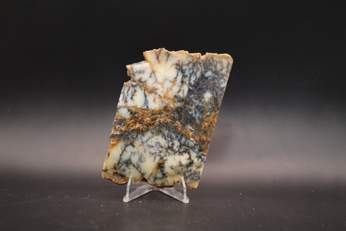 Australian Dendritic Opal slab (Unpolished)