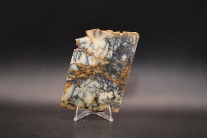 Australian Dendritic Opal slab (Unpolished)