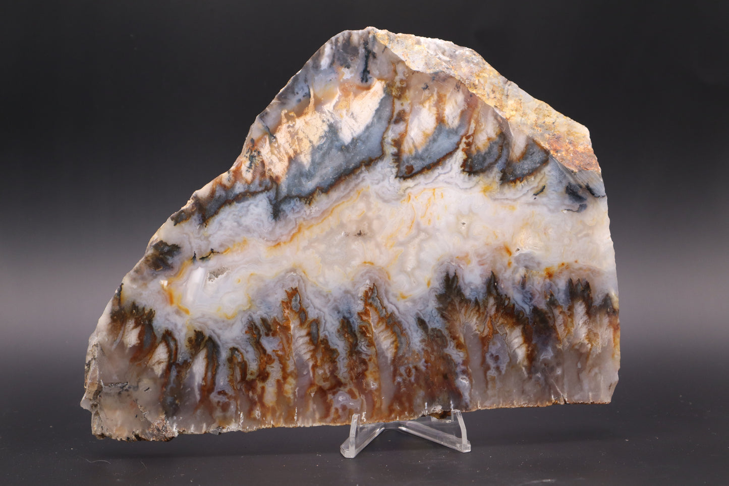 Regency Rose Plume Agate slab (Unpolished)