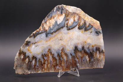Regency Rose Plume Agate slab (Unpolished)