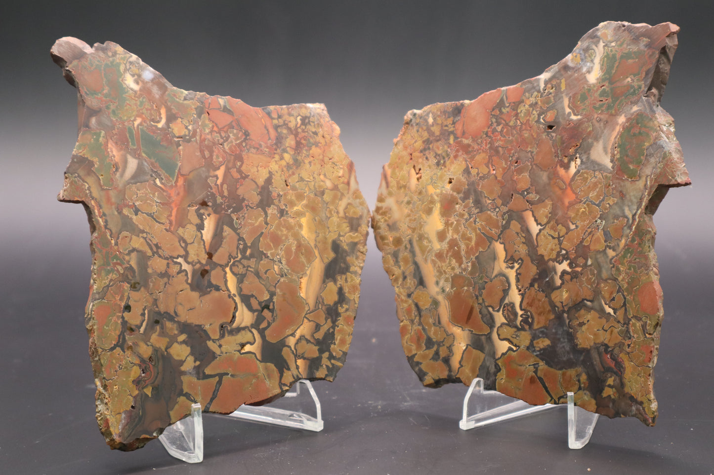Brecciated Whiskey Creek Jasper (Unpolished Butterfly set)