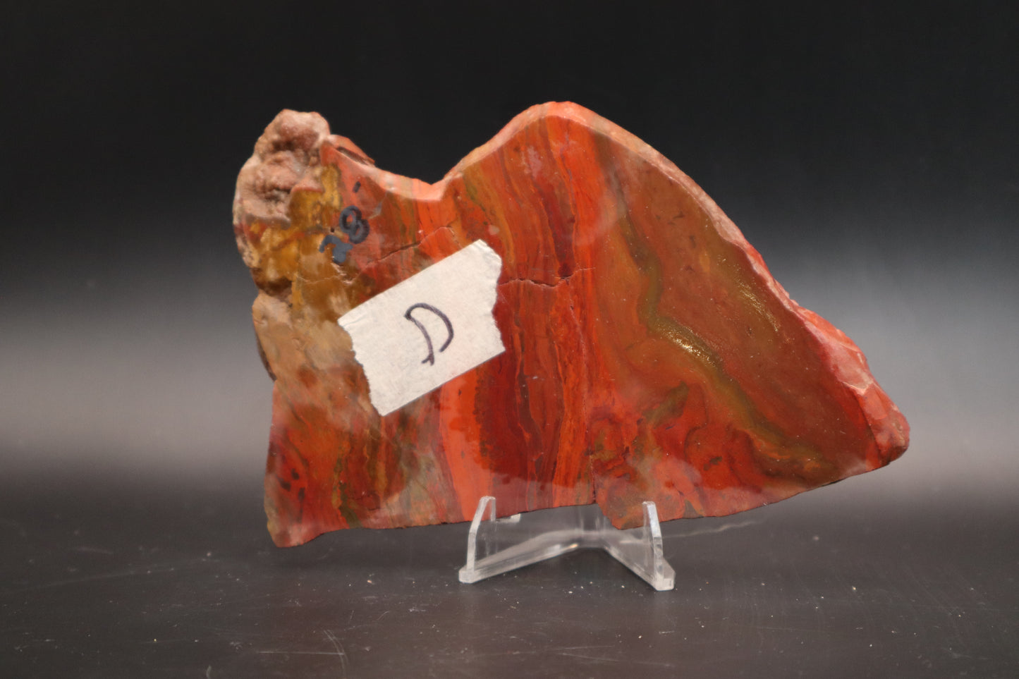 Arizona Moss Agate (Unpolished)