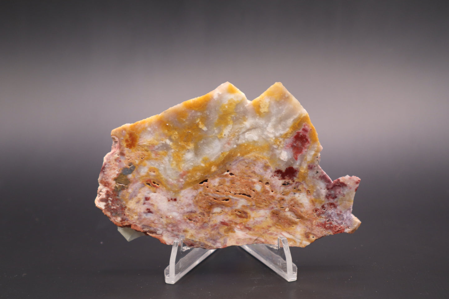 Windy Mountain Snowflake Jasper slab (Unpolished)
