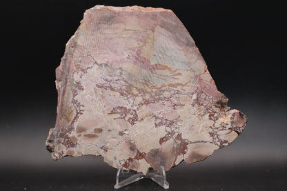 Dead Camel slab (Unpolished)