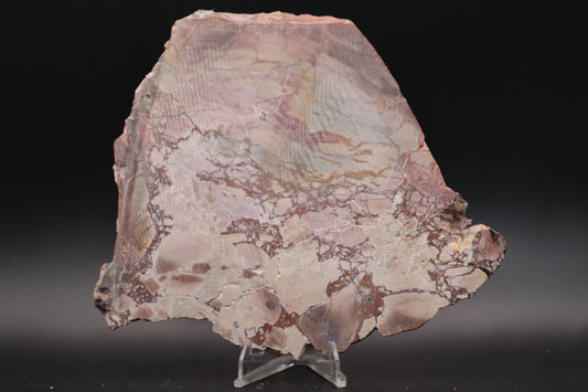 Dead Camel slab (Unpolished)
