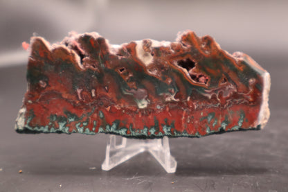 Idaho Wildfire Seam Agate (Polished)
