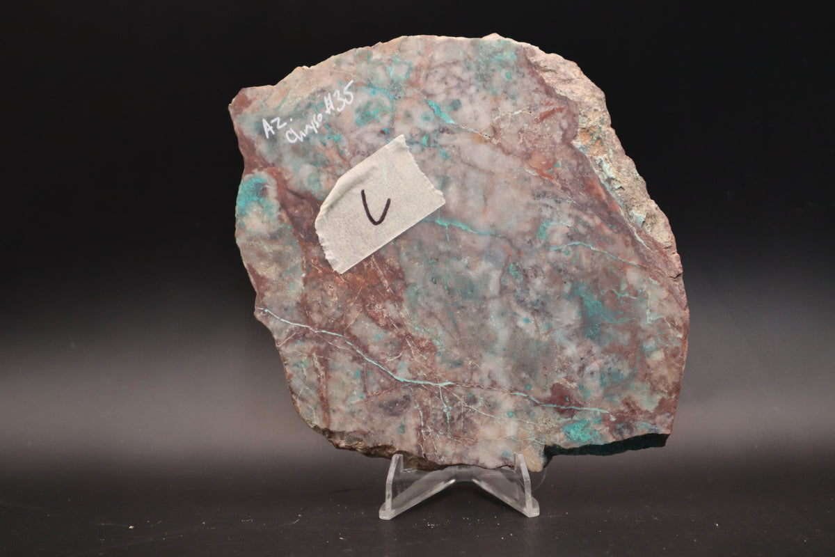 Spiderweb Chrysocolla (Unpolished)
