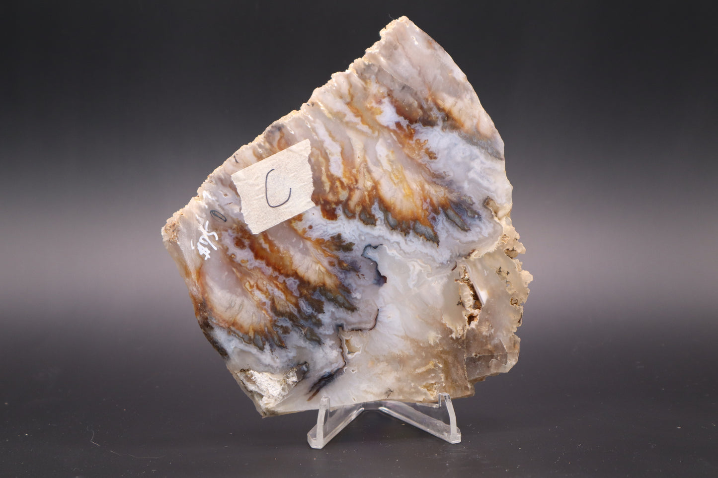 Regency Rose Plume Agate slab (Unpolished)