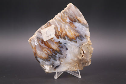 Regency Rose Plume Agate slab (Unpolished)