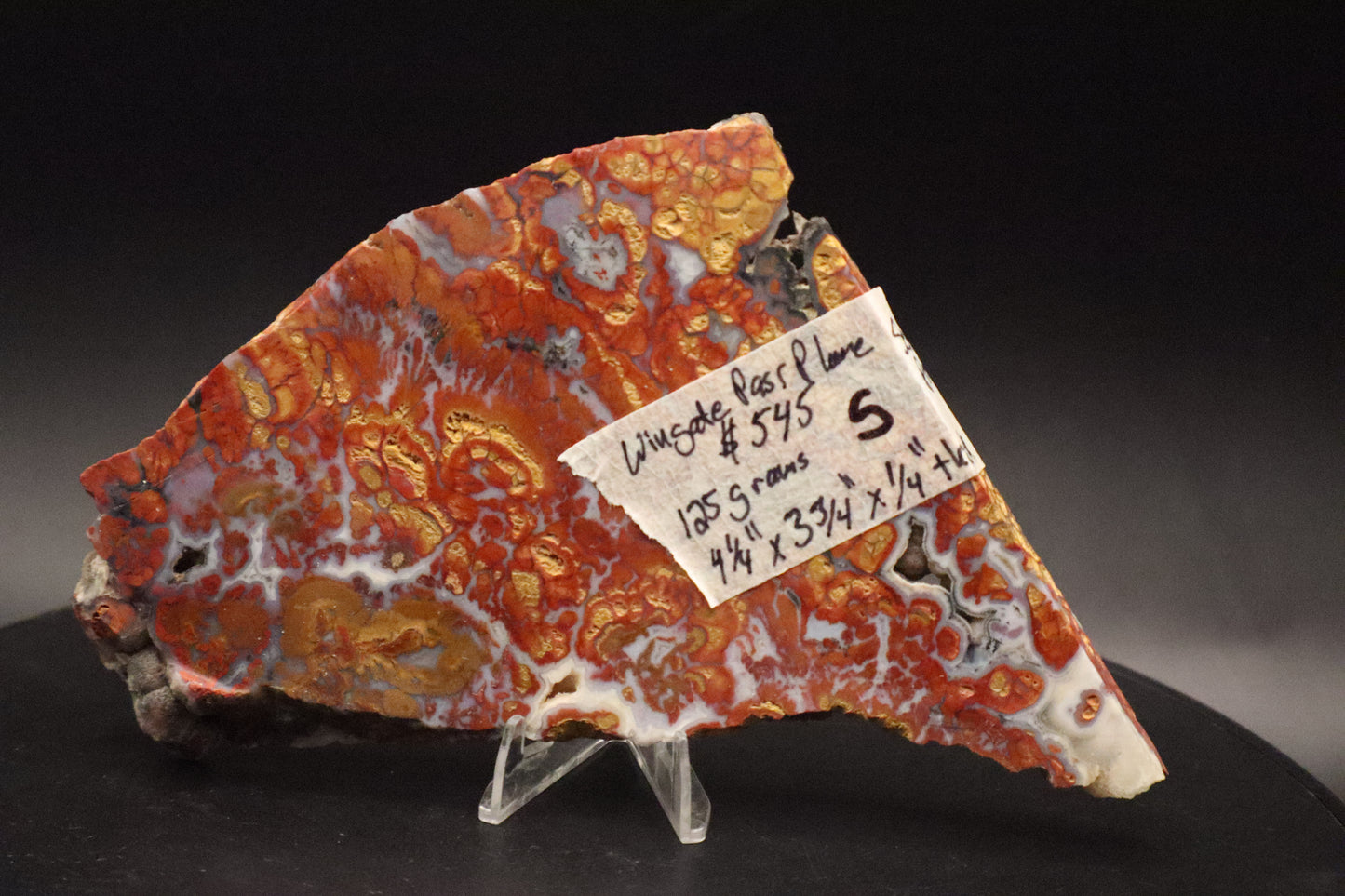 Wingate Pass Plume Agate slab (Semi-Polished)