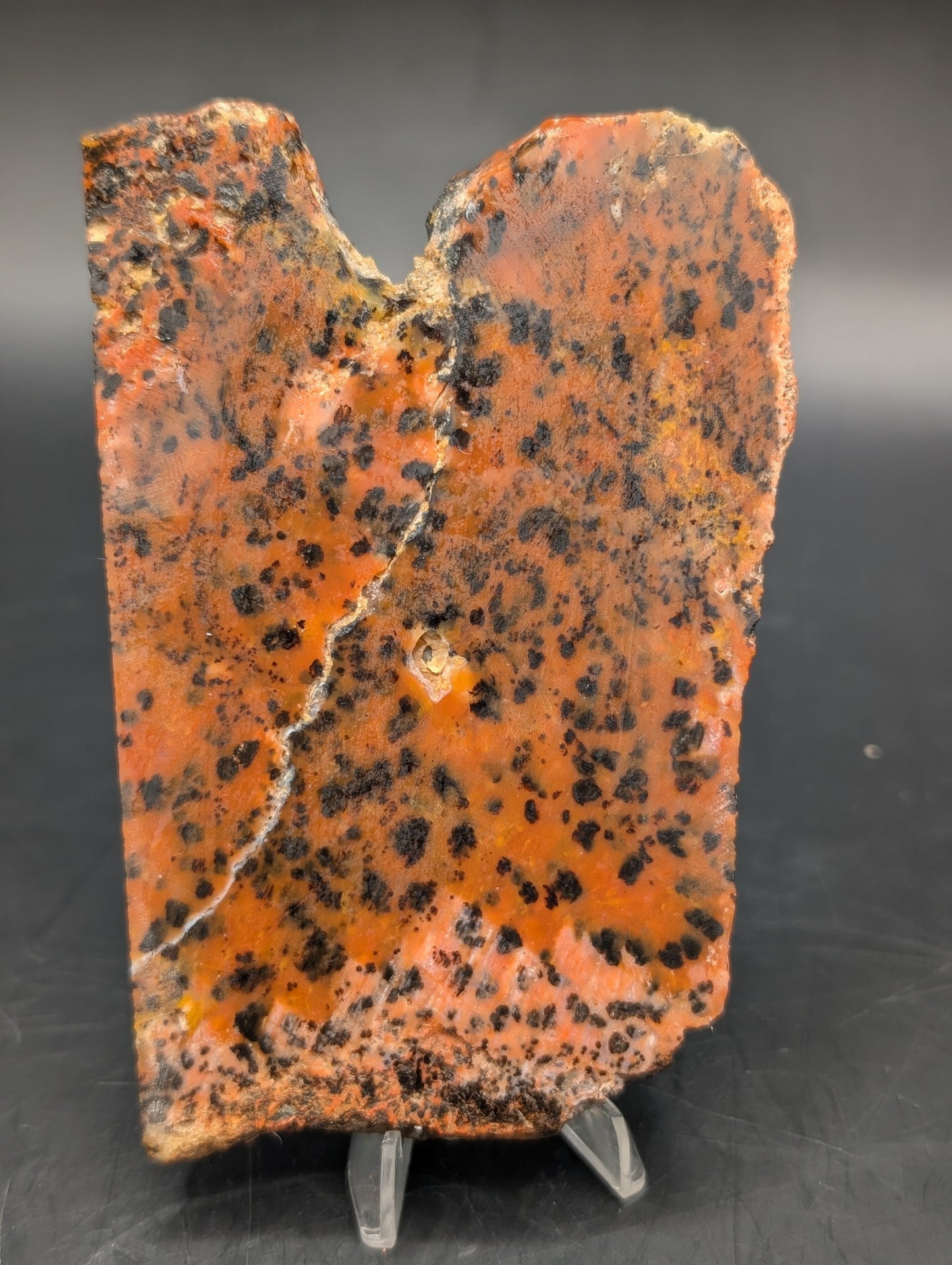 Cheetah Agate (Unpolished)