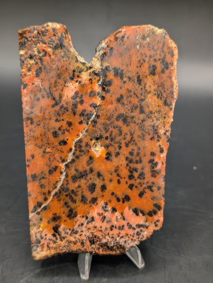 Cheetah Agate (Unpolished)