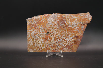 Moroccan Atlas Mountain Jasper slab (Unpolished)