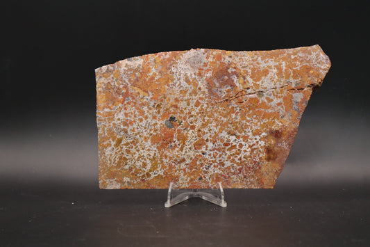 Moroccan Atlas Mountain Jasper slab (Unpolished)