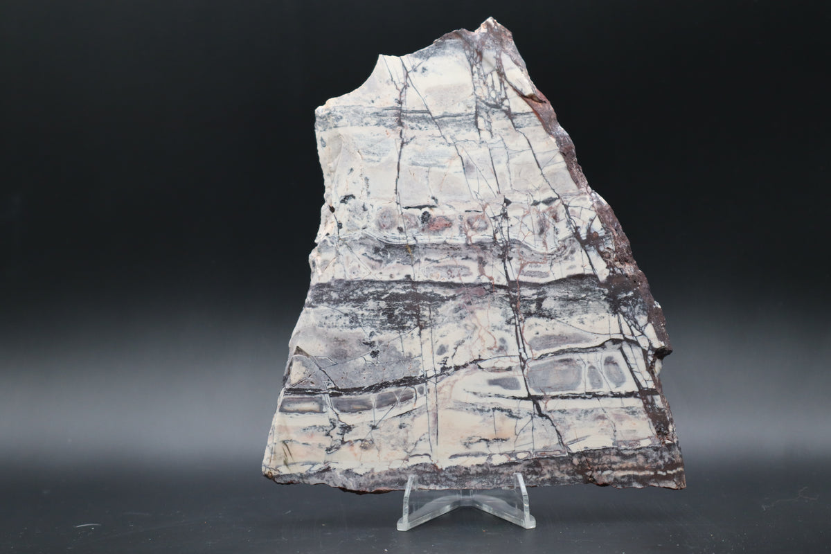 Exotica Sci-Fi Jasper slab (Unpolished)