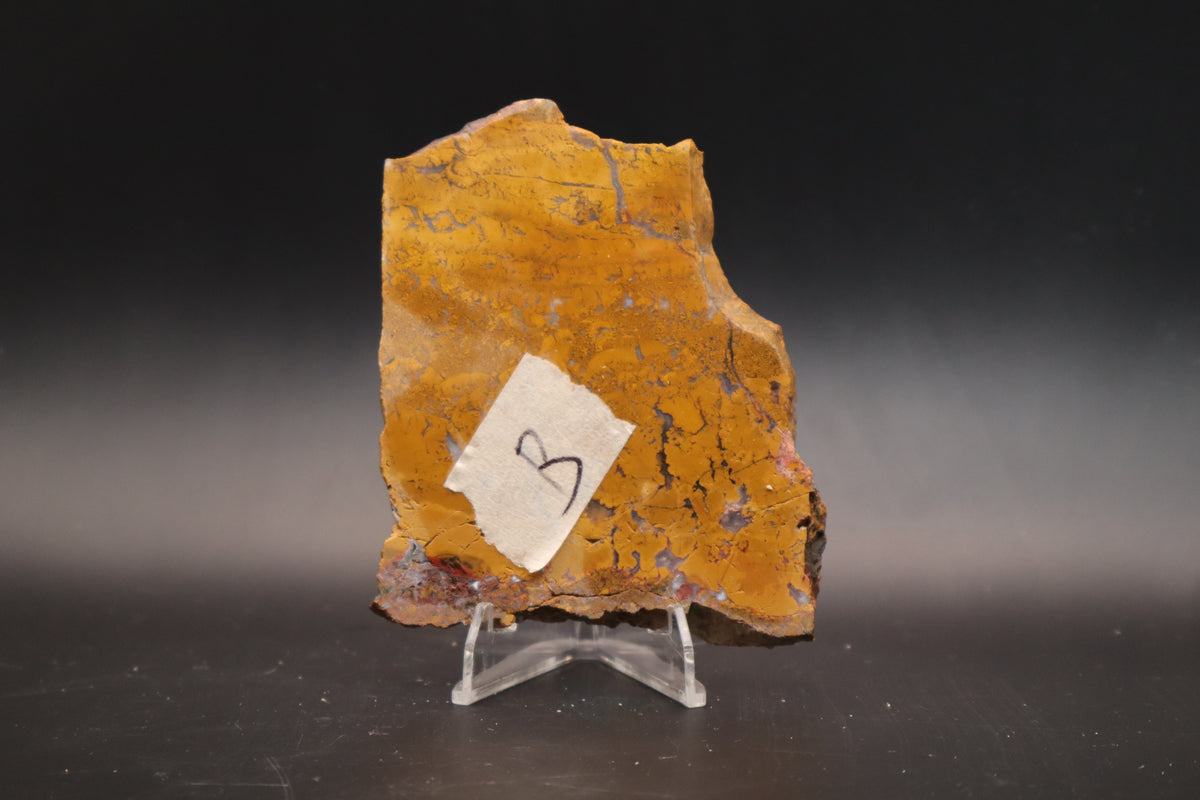 Arizona Yellow Jasper Agate slab (Unpolished)