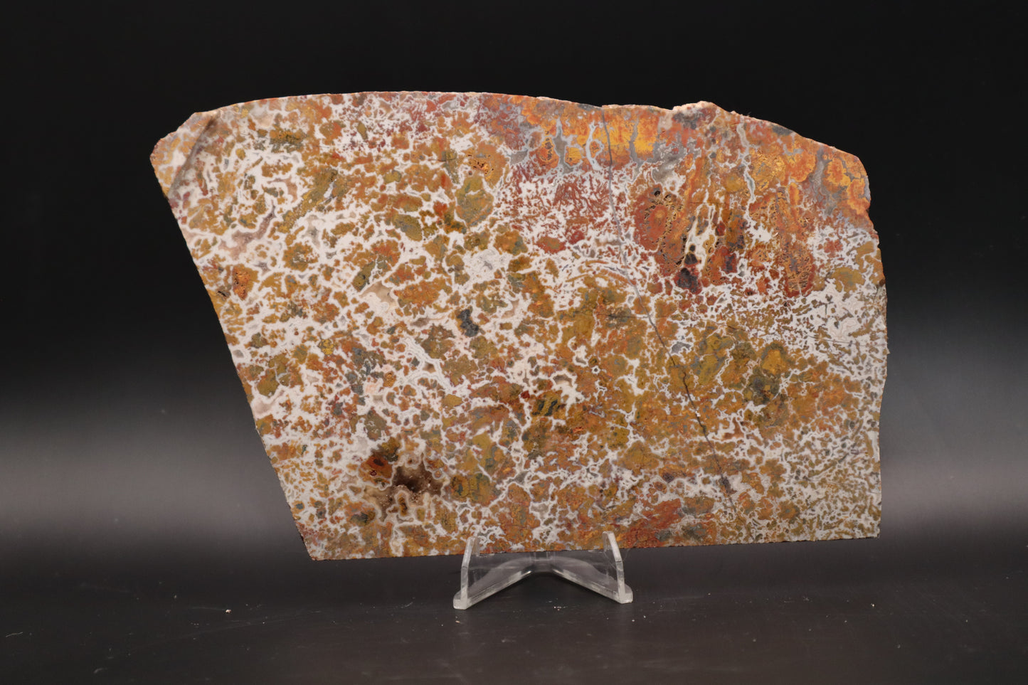 Moroccan Atlas Mountain Jasper slab (Unpolished)