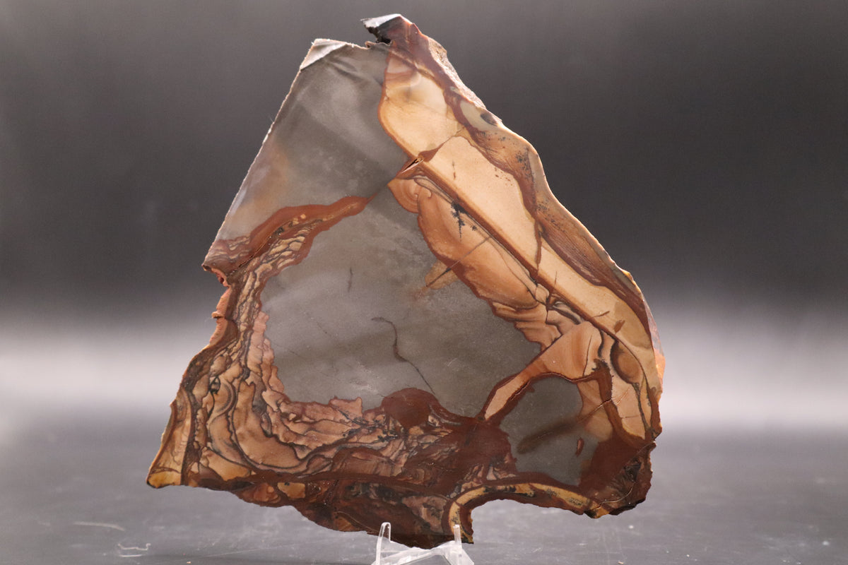 Biggs Jasper slab (Unpolished)