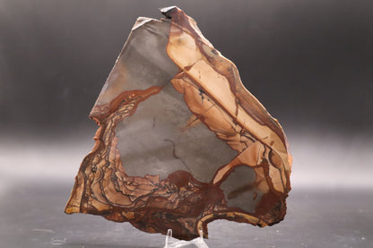 Biggs Jasper slab (Unpolished)