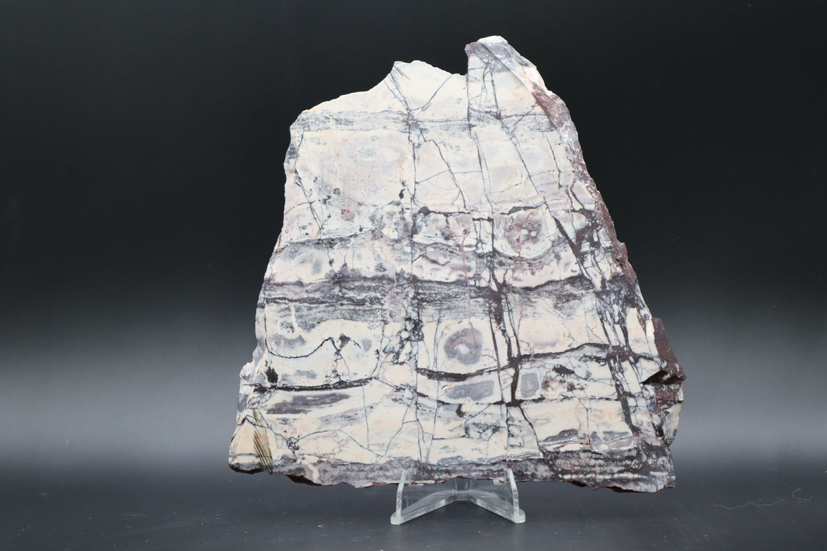 Exotica Sci-Fi Jasper slab (Unpolished)