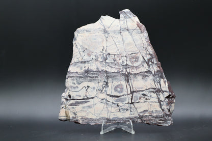 Exotica Sci-Fi Jasper slab (Unpolished)