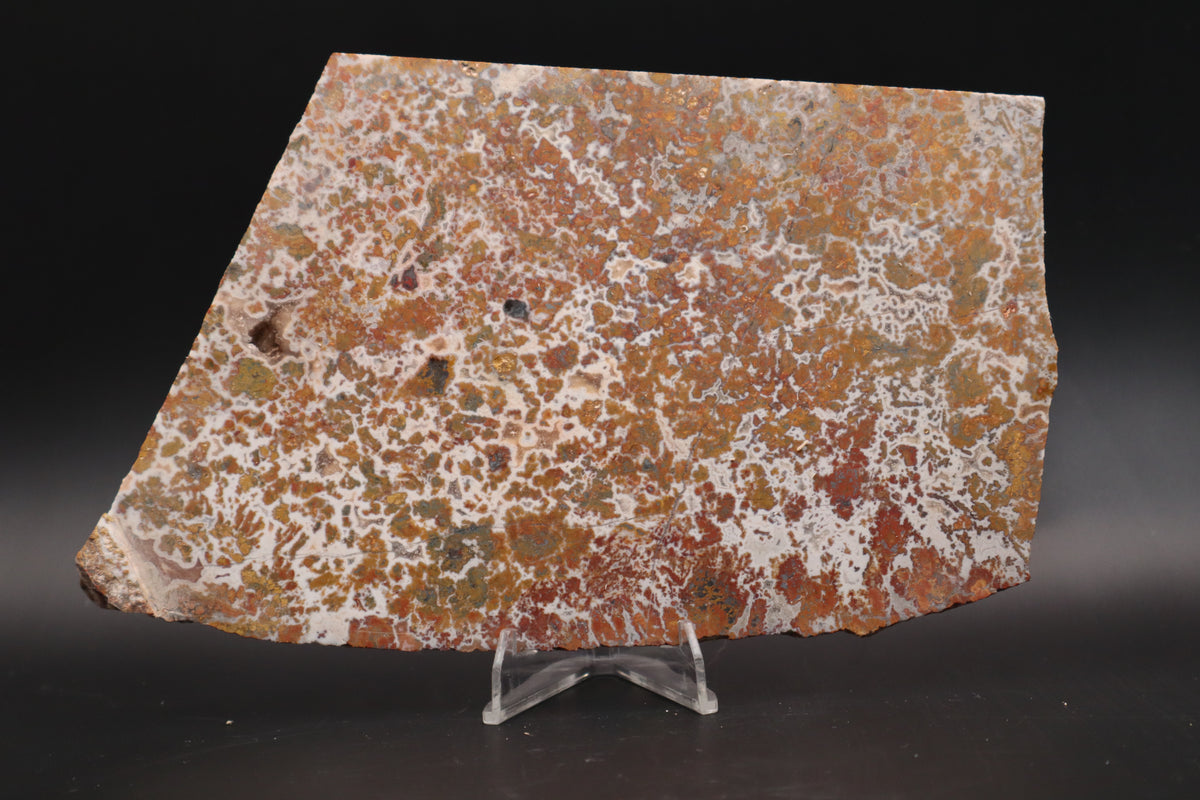 Moroccan Atlas Mountain Jasper slab (Unpolished)