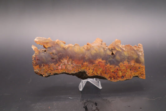 Bird of Paradise Agate