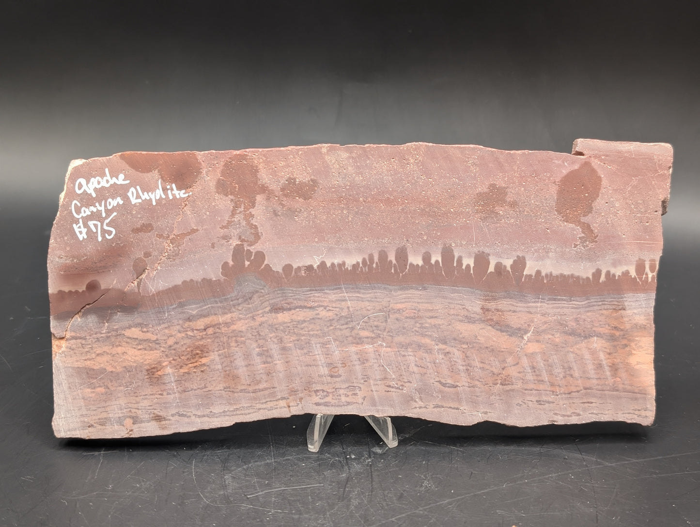 Apache Canyon Rhyolite (Unpolished)